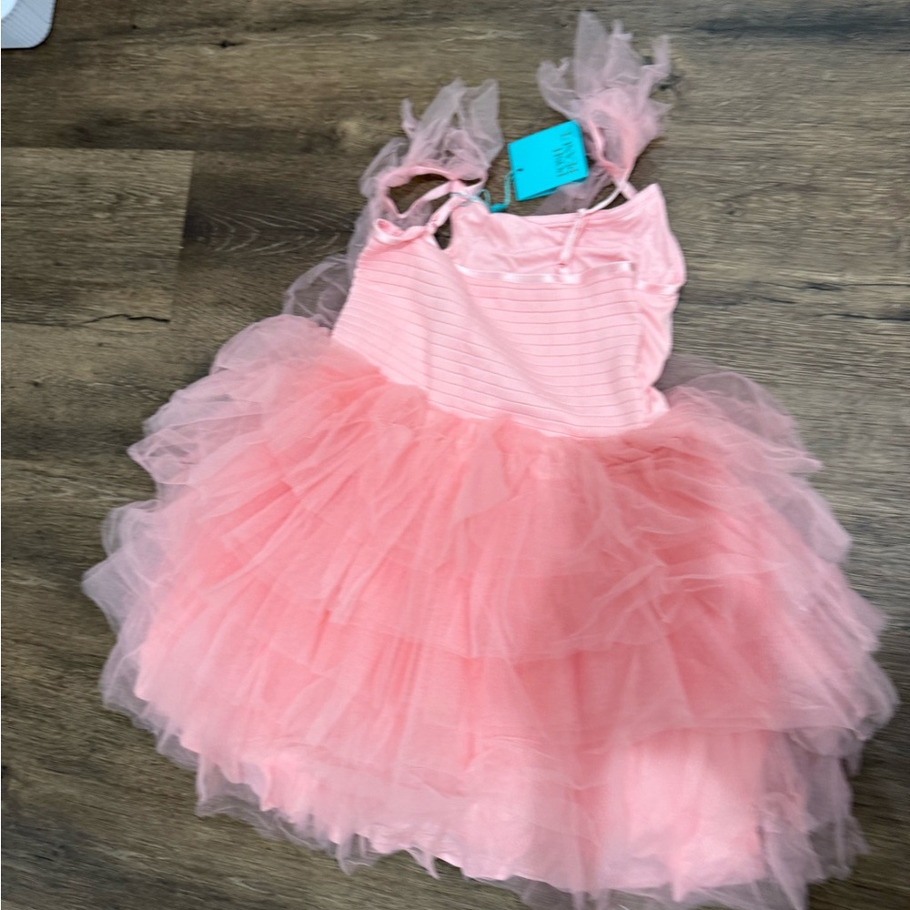 NWT Posh Peanut Pink Tulle smocked tutu dress - Picture 2 of 3